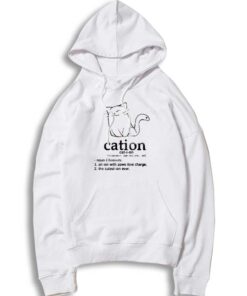 Cation Meaning Of Cat On Science Dictionary Hoodie