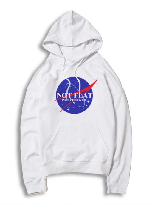 Earth Not Flat We Checked Nasa Logo Inspired Hoodie