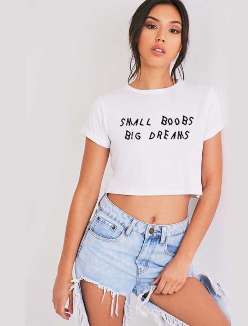 Small Boobs Big Dreams Quote Crop Top Shirt