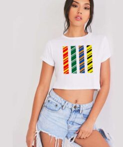 Minimalist Hogwarts House Colors Bars Crop Top Shirt