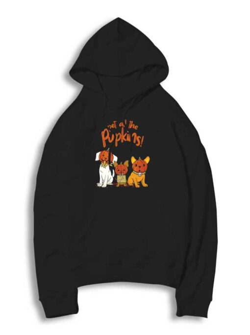 Pet All The Pumpkins Costume Dog Hoodie