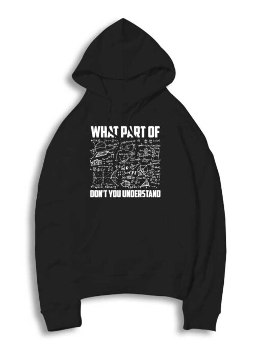 What Part Of Math Don't You Understand Hoodie