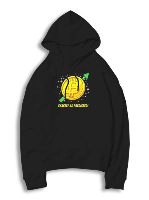 Bitcoin Exactly As Predicted Hoodie