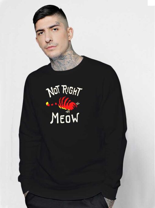 Not Right Meow Lazy Cat Sweatshirt