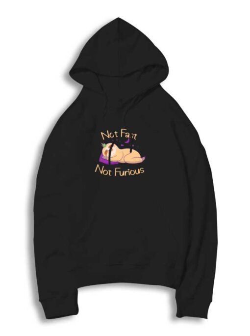 Not Fast Not Furious Sloth Punk Hoodie