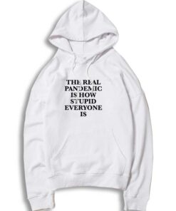 The Real Pandemic Is Stupid People Hoodie